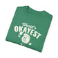World's Okayest Pickleball Player